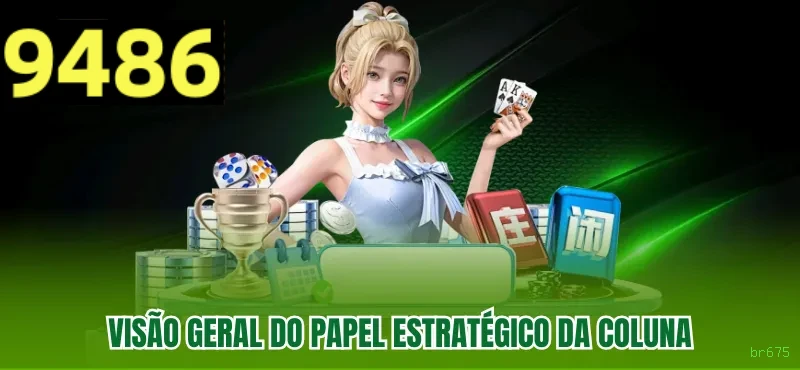 Programa VIP br675